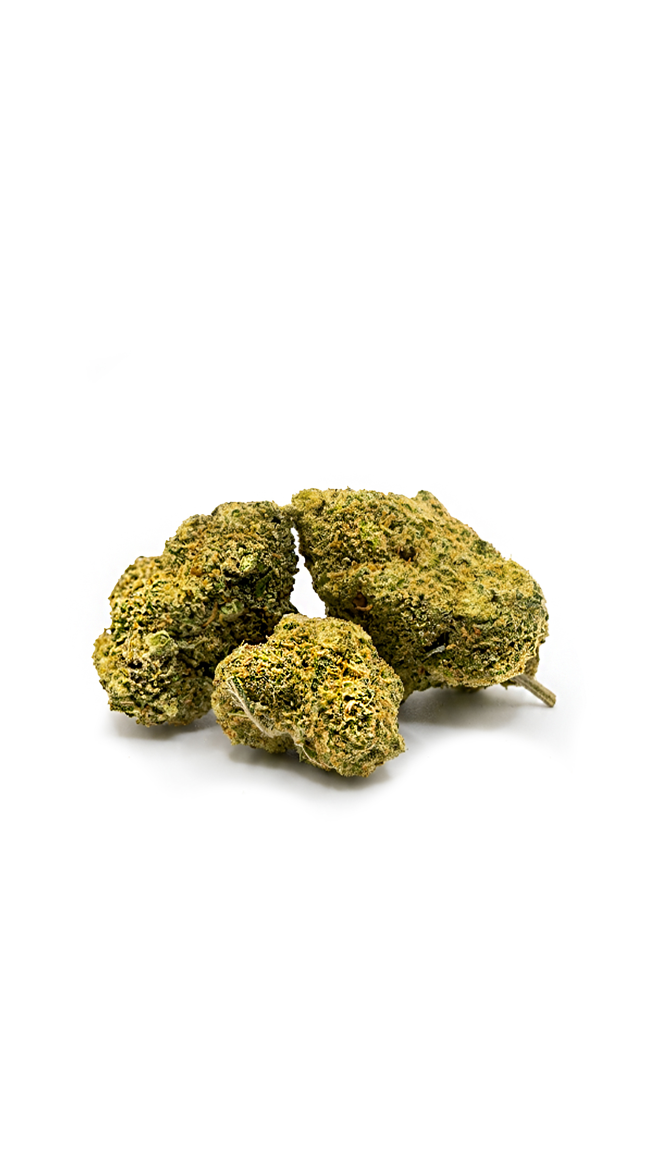 MANDARINE SHERBET
