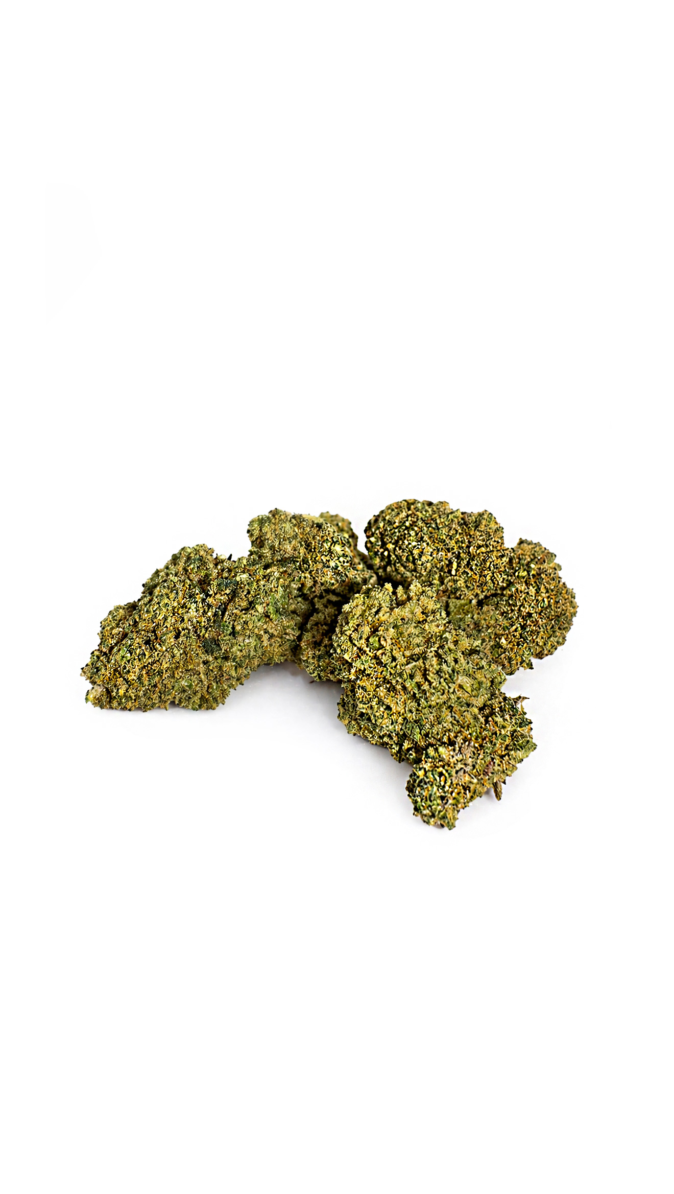 MASTER KUSH 50% D10
